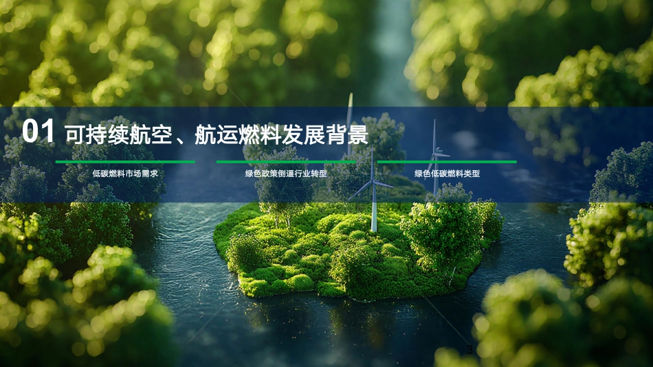 创业邦:2025可持续航空、航运燃料发展报告_第3页