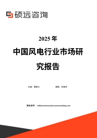 硕远咨询：2025年中国风电行业市场研究报告