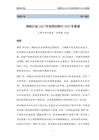 新世纪评级：钢铁行业2025年信用回顾与2026年展望