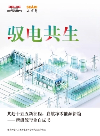 德力西电气：2026驭电共生：新能源行业白皮书