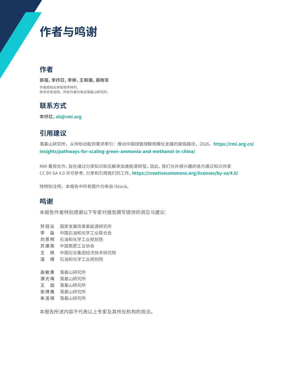 落基山研究所:从供给动能到需求牵引:推动中国绿氨绿醇规模化发展的破局路径_第3页