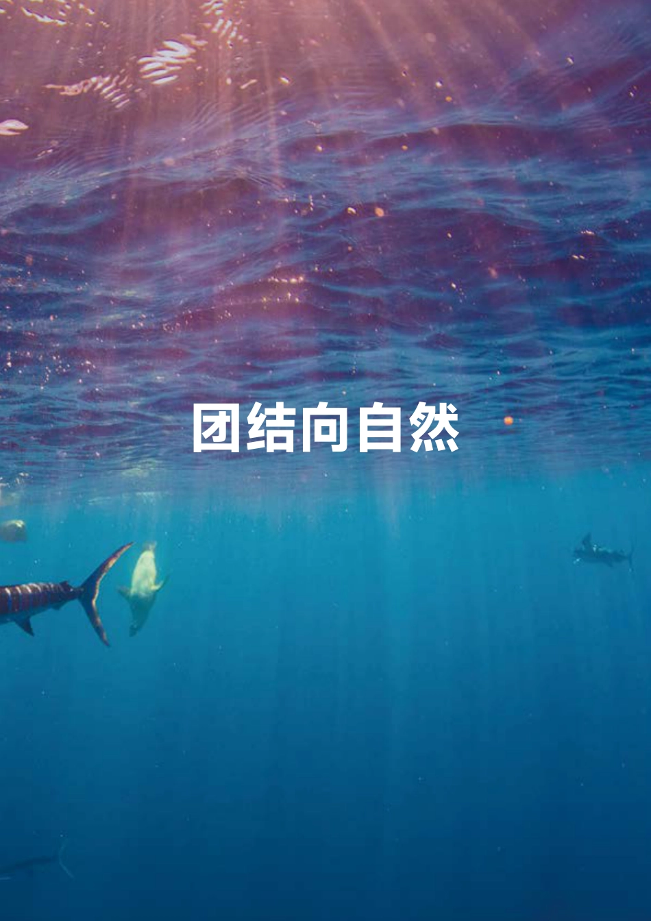 世界自然保护联盟:自然2030——同一自然,同一未来_第3页