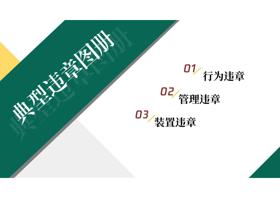 国网安监部 典型违章图册_第2页