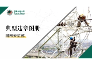 国网安监部 典型违章图册
