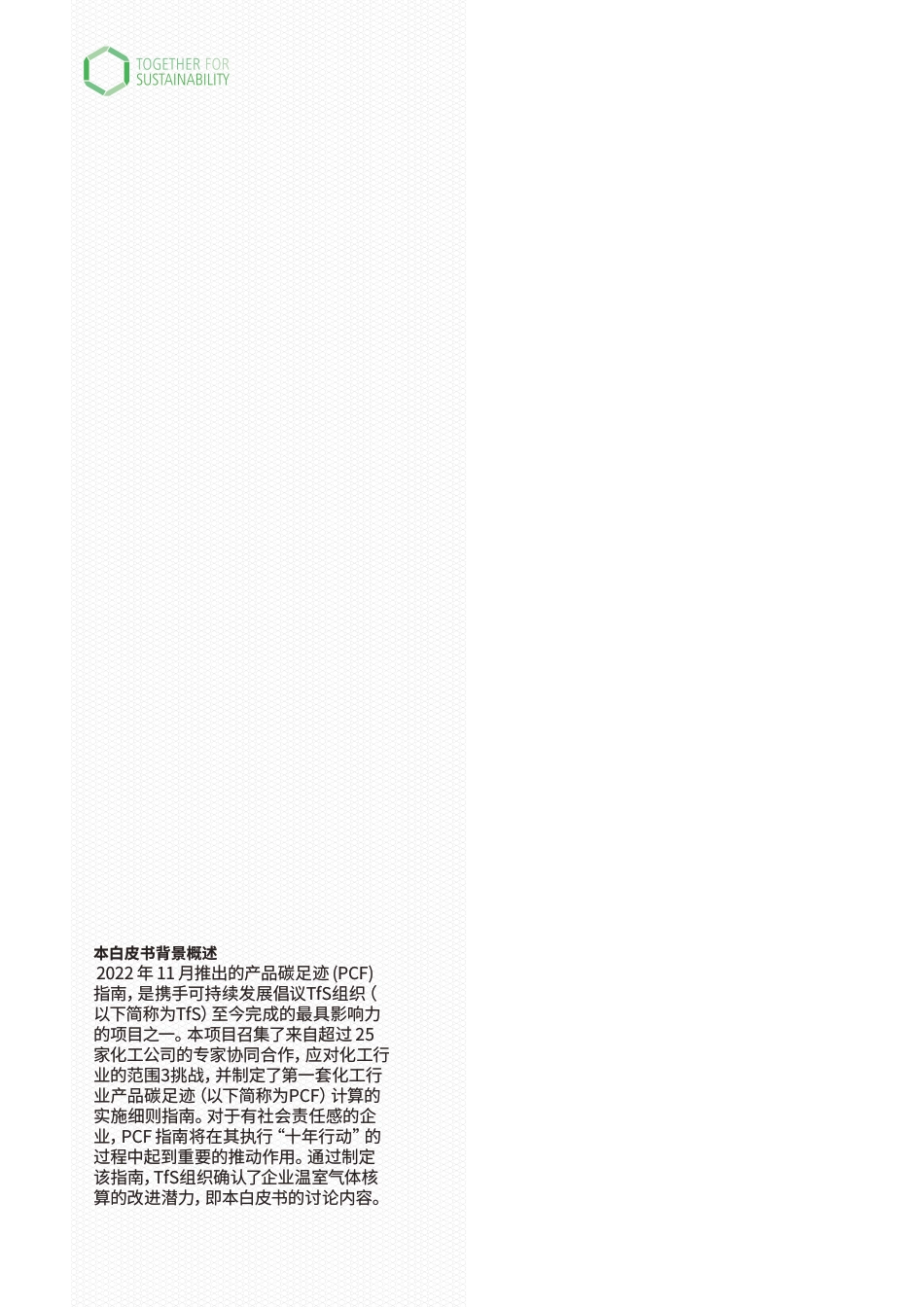 03-TfS产品碳足迹白皮书:优化与统一范围3报告_第2页