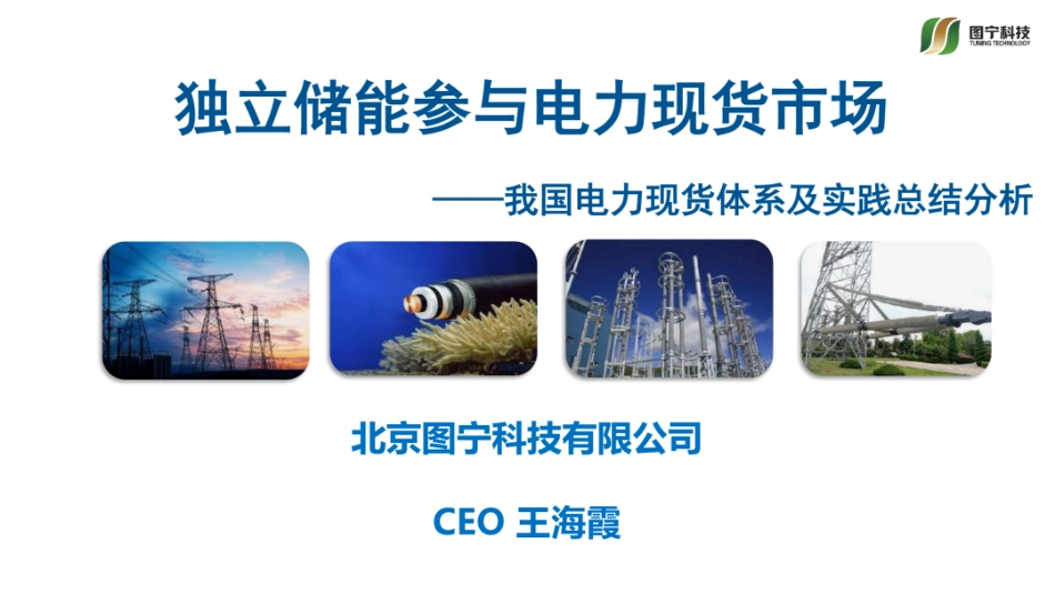 图宁科技PPT:独立储能参与电力现货市场——我国电力现货体系及实践总结分析 (1)_第1页
