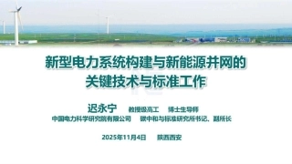 新型电力系统构建与新能源并网的关键技术与标准工作