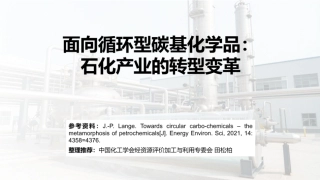 中国化工学会PPT：面向循环型碳基化学品：石化产业的转型变革
