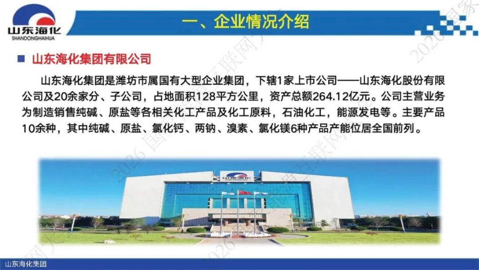 山东海化PPT:向“储”而行,向“绿”而生——山东滨海能源有限公司储能实践与探索_第3页