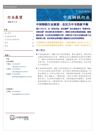 中诚信国际：中国钢铁行业展望：在压力中寻找新平衡