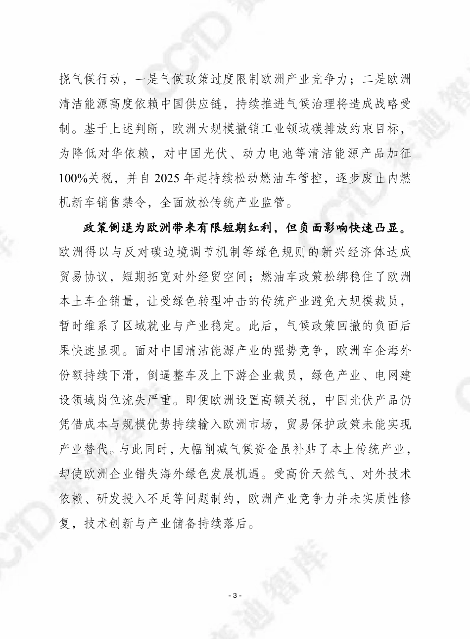 赛迪译丛:最终电力方案:欧洲摆脱技术依附的清洁能源之路_第3页