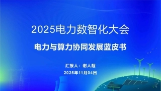 PPT：电力与算力协同发展蓝皮书（2025）