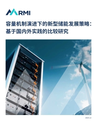 02-落基山研究所：容量机制演进下的新型储能发展策略：基于国内外实践的比较研究