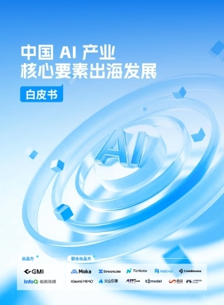 InfoQ：中国AI产业核心要素出海发展白皮书