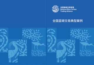 全国蓝碳交易联盟：2026全国蓝碳交易典型案例