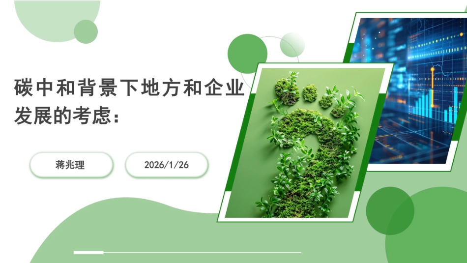 碳中和背景下地方和企业发展的考虑_第1页