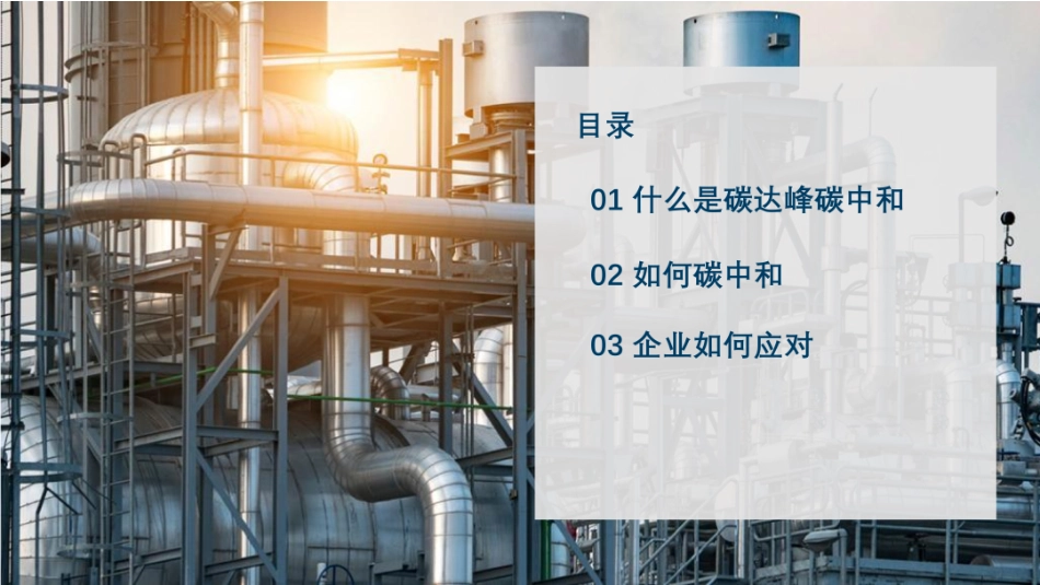 碳中和背景下地方和企业发展的考虑_第2页