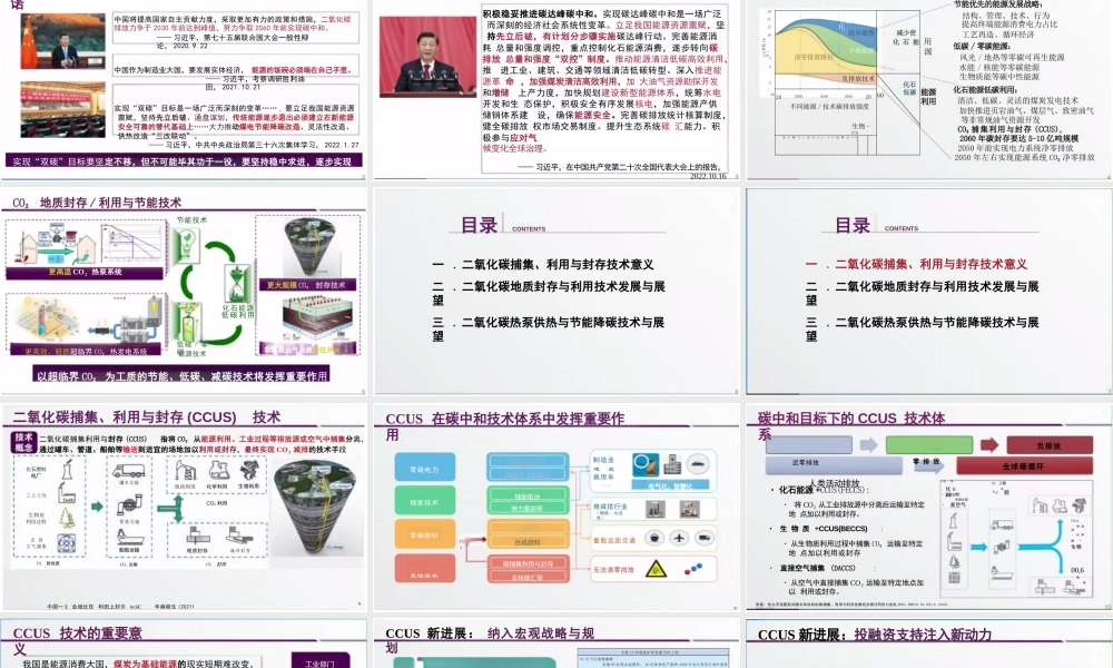 二氧化碳地质封存与利用技术现状与展望