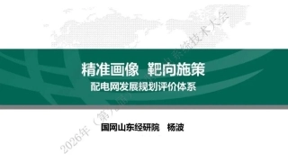 国网山东PPT：精准画像 靶向政策——配电网发展规划评价体系 (1)