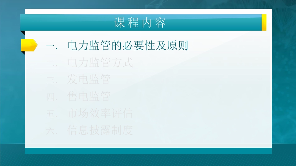 第九讲：电力监管_第2页