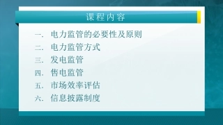 第九讲：电力监管