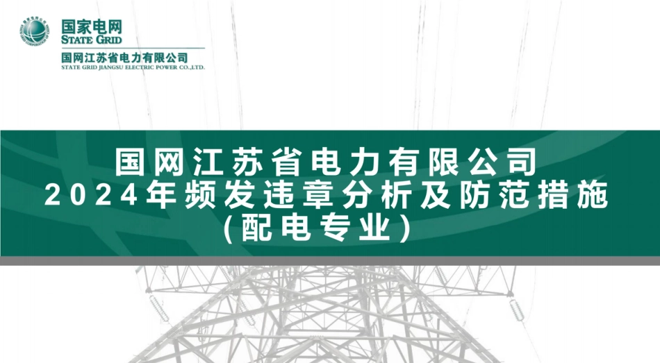 配电专业频发违章分析及防范措施_第1页