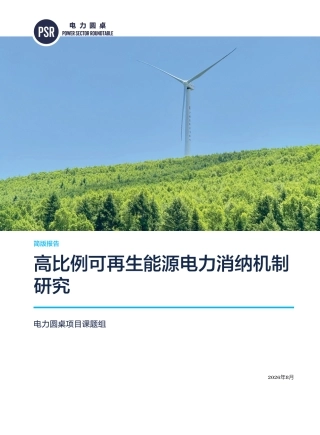 高比例可再生能源电力消纳机制研究