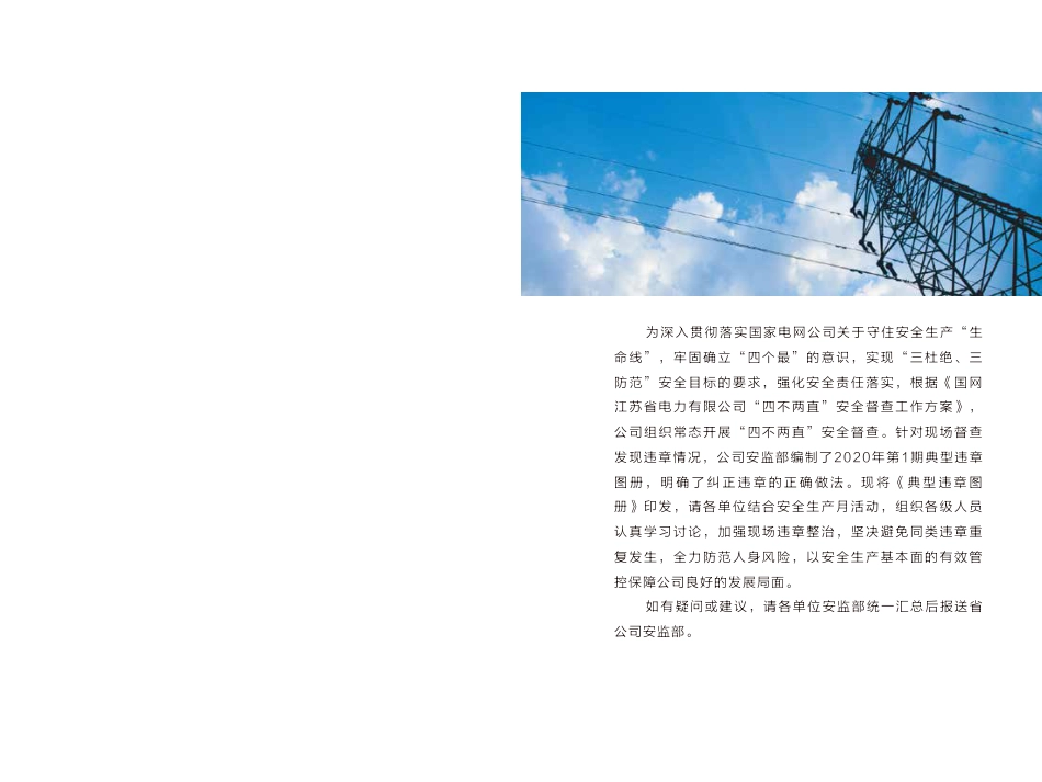 国网江苏省电力有限公司安全生产典型违章图册(2020年)_第2页