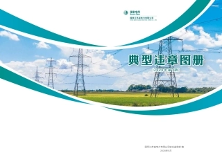 国网江苏省电力有限公司安全生产典型违章图册（2020年）