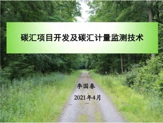 92页PPT：项目开发及计量监测技术