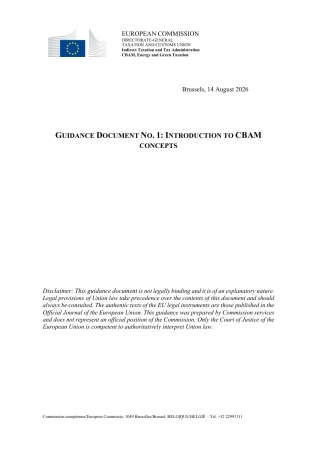 Guidance No. 1 - Introduction to CBAM concepts