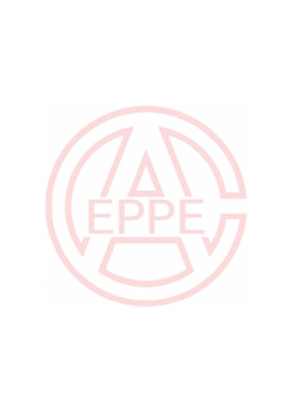 T-CEPPEA 5002-2019 电力建设项目工程总承包管理规范_第2页