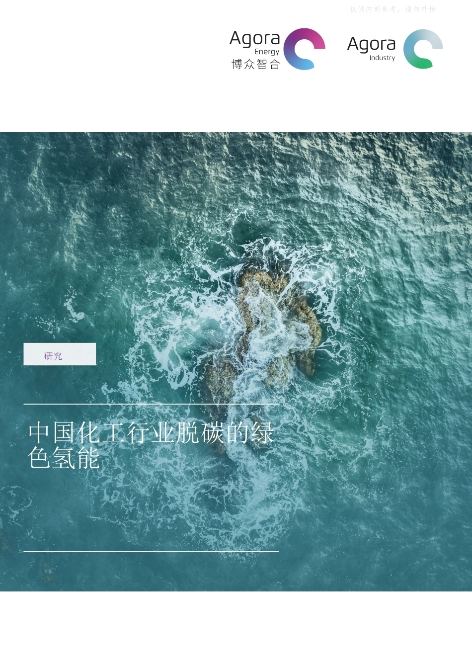 中国化工行业脱碳的绿色氢能-英译中_第1页