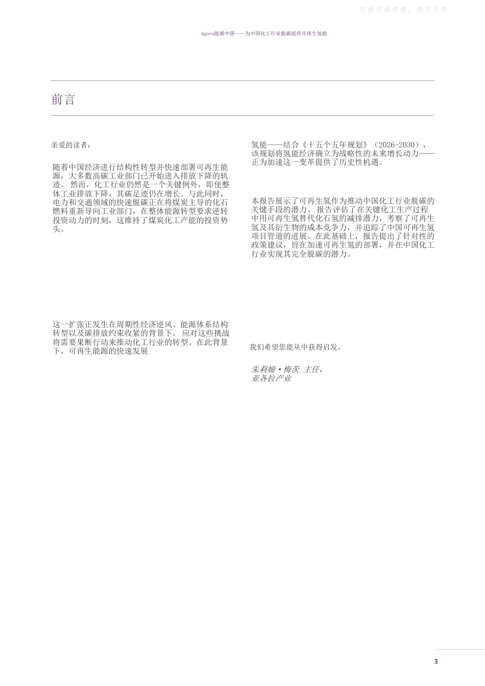 中国化工行业脱碳的绿色氢能-英译中_第3页