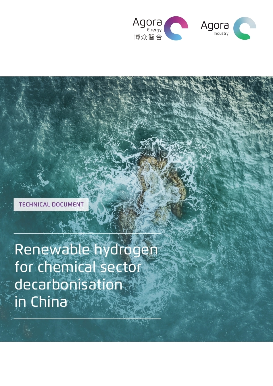 《可再生氢推动中国化工行业脱碳》配套文件_第1页