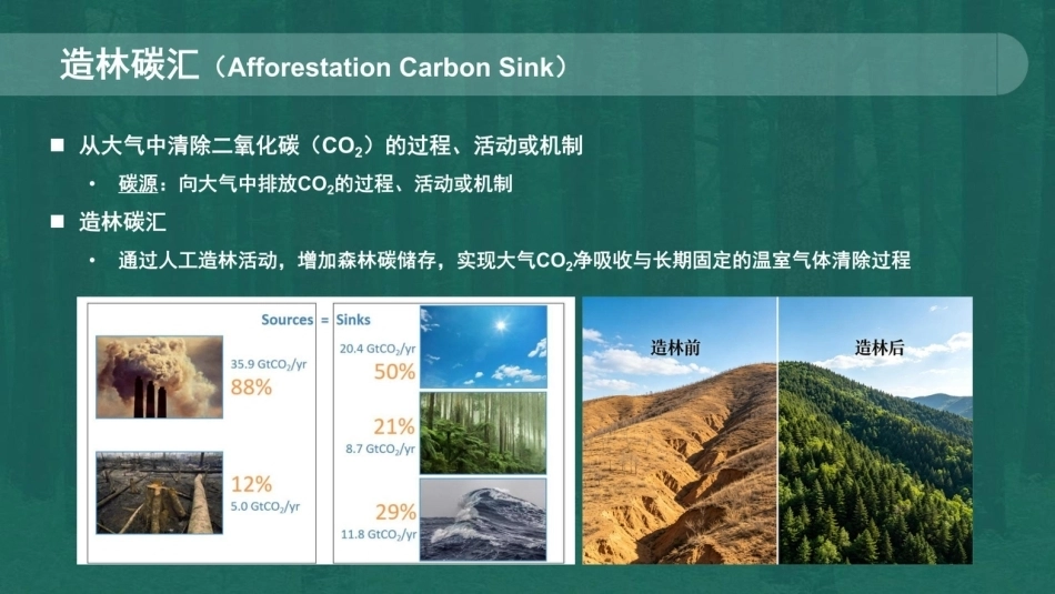 林草讲堂：CCER造林碳汇项目方法学-260911_第2页