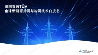 莱茵-2026全球新能源并网与构网技术白皮书-260929