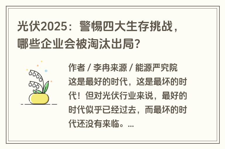 光伏2025：警惕四大生存挑战，哪些企业会被淘汰出局？
