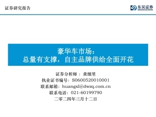 东吴证券：豪华车市场-总量有支撑，自主品牌供给全面开花.pdf