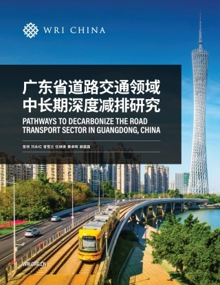 广东省道路交通领域中长期深度减排研究--世界能源研究所.pdf