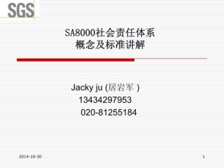 SA8000.pdf