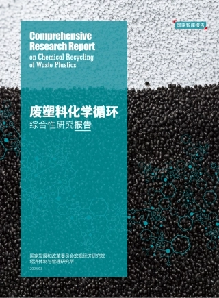 废塑料化学循环综合性研究报告2024