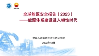 全球能源安全报告2023