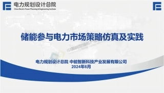 中能智新周云：储能参与电力市场策略仿真及实践
