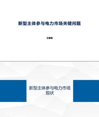 新型主体参与电力市场关键问题——中国华能 王春森