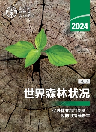 2024年世界森林状况