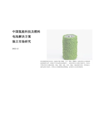 中国氢能科技及燃料电池解决方案独立市场研究
