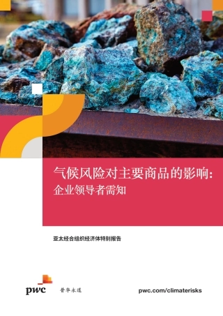 普华永道：2024气候风险对主要商品的影响：企业领导者需知研究报告
