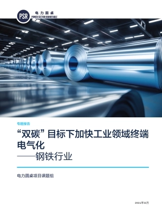 2024“双碳”目标下加快工业领域终端电气化——钢铁行业