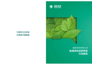国家电网能源绿色低碳转型报告